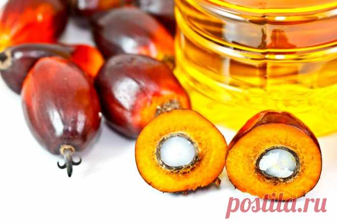 Чем опасно пальмовое масло? В каких продуктах содержится?