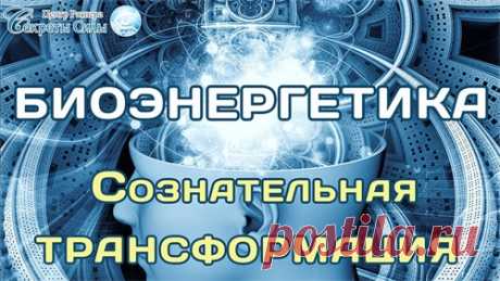 Трансляция занятий в ротации