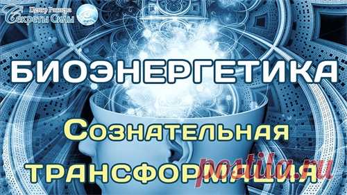 Трансляция занятий в ротации
