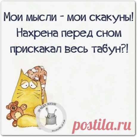 (210) Pinterest