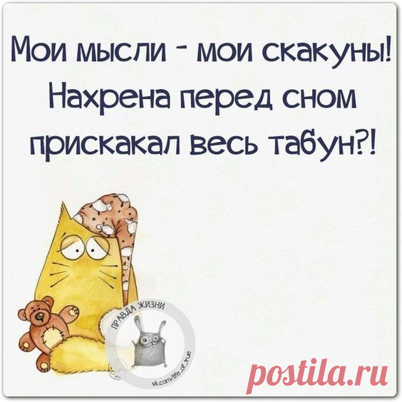 (210) Pinterest