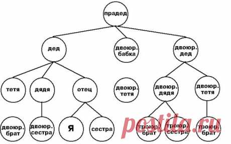 Как нарисовать генеалогическое дерево семьи карандашом своими руками? Как составить родословное дерево своей семьи: образец