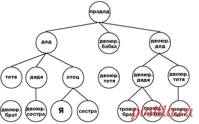 Как нарисовать генеалогическое дерево семьи карандашом своими руками? Как составить родословное дерево своей семьи: образец