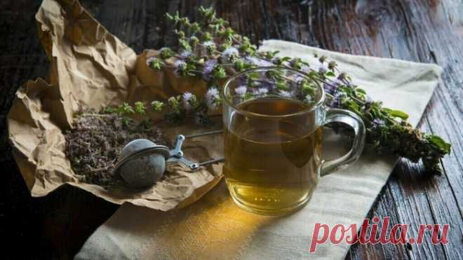 НЕОБЫЧНАЯ ПОЛЬЗА ЧАБРЕЦА