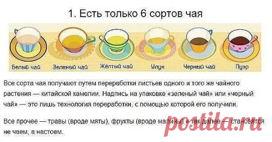 Kак правильно пить чай.
 
Люди по всему миру любят чай и пьют его каждый день: утром — чтобы взбодриться; вечером — чтобы согреться; днём — на работе, в гостях или в кафе. 
Но мало кто знает, как его нужно заваривать, чтобы он отдавал весь свой вкус и аромат до последней капли.