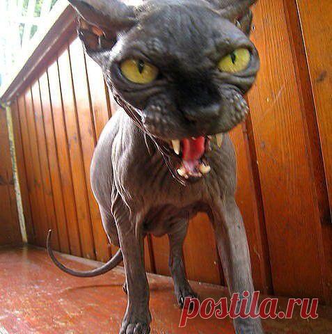 Вот оно какое утро!