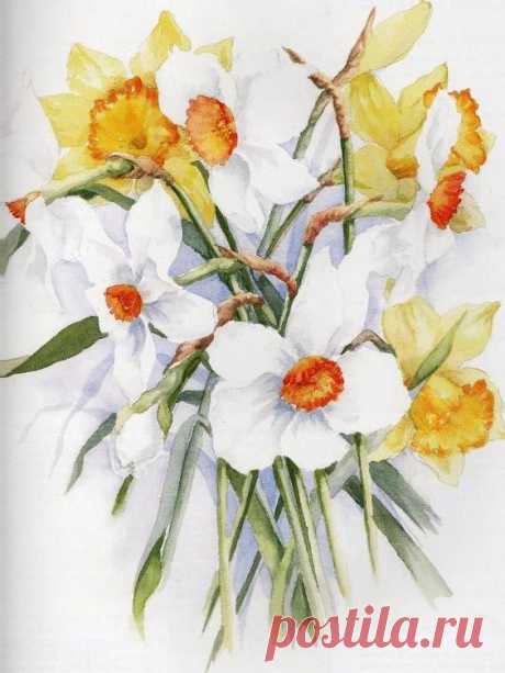 (300) Pin by Kate McClure on Petals from the Garden