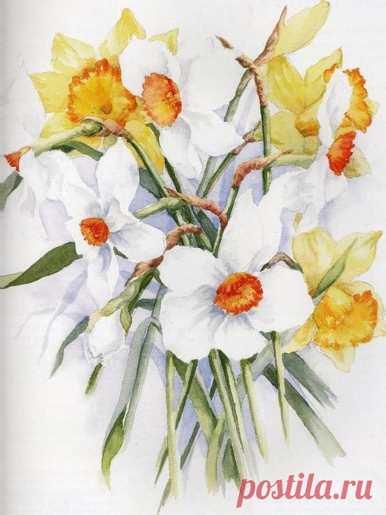 (300) Pin by Kate McClure on Petals from the Garden
