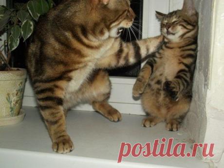 После родительского собрания!!!