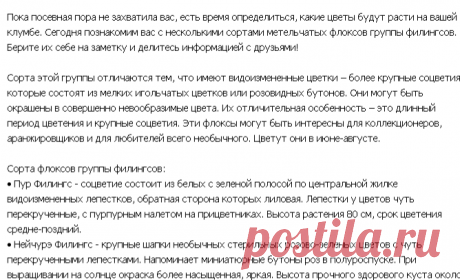 какие цветы будут расти на вашей клумбе.