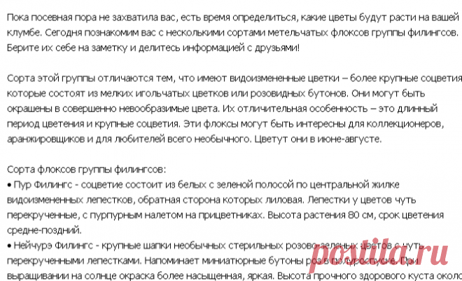 какие цветы будут расти на вашей клумбе.