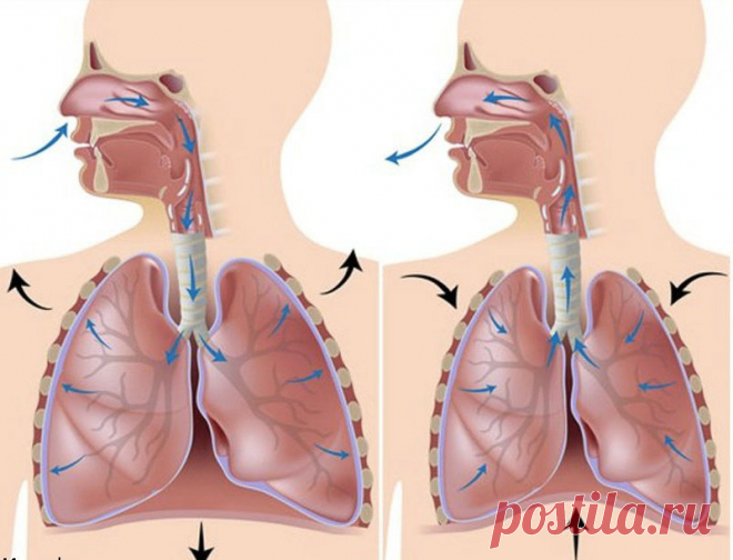 Дыхательная гимнастика Бутейко: 3 упражнения
