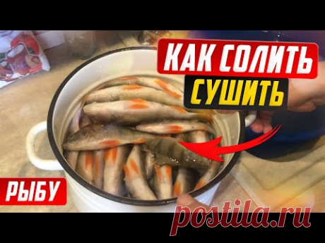 Мокрый посол и вяление рыбы. Как правильно солить, вымачивать, сушить рыбу.