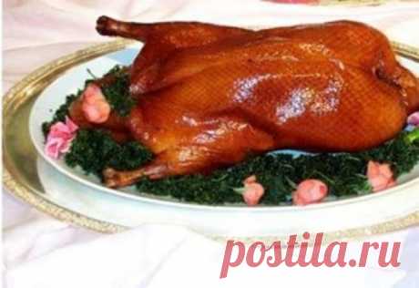 Главное об охоте - как приготовить утку
Утка с черносливом,апельсинами,оливками,капустой и многое другое