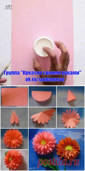 (2) Однокласники