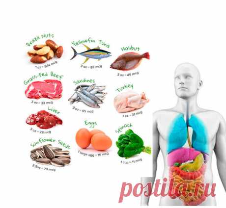 15 причин полюбить продукты, богатые селеном