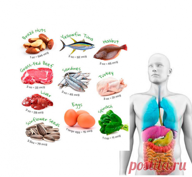 15 причин полюбить продукты, богатые селеном
