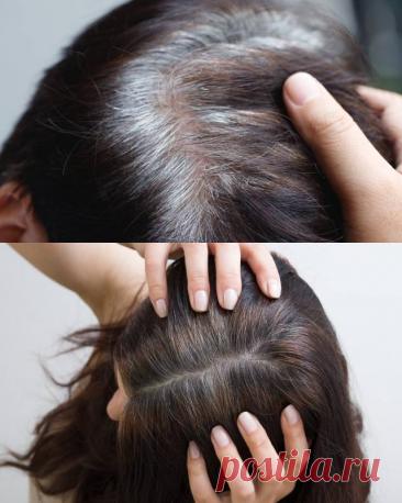 Чем закрасить седину, если профессиональная краска «не берёт»: безопасные и быстрые способы — Гармония в тебе