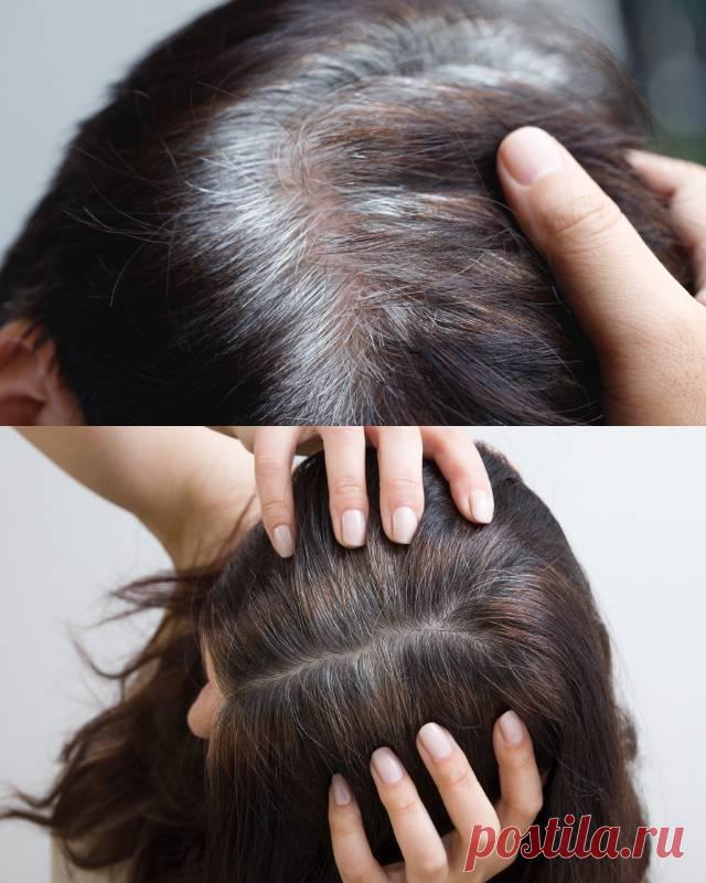 Чем закрасить седину, если профессиональная краска «не берёт»: безопасные и быстрые способы — Гармония в тебе