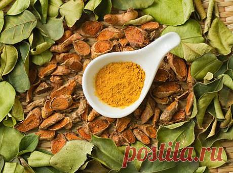 Карри (светлый, нежный) 

Смешать в домашних условиях ароматную специю очень просто. Вам надо лишь закупить необходимые ингредиенты и смешать их. Например, приготовим карри индийского типа, для начала – светлый, нежный.

Нам потребуется:

1. куркума – 32 грамма;

2. кориандр – 24 грамм;

3. фенугрек – 10 грамм;

4. перец кайенский – 1 грамм;

5. кмин или ажгон – 10 грамм;