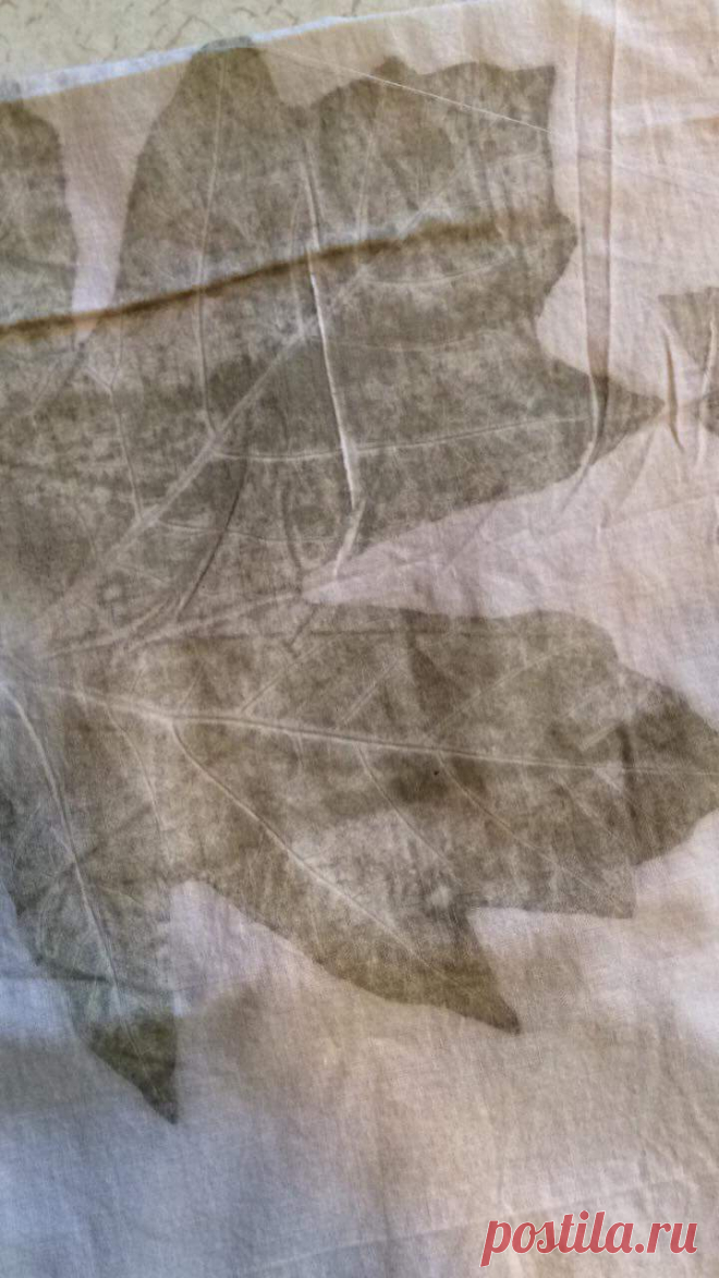 35076706_214120929389929_4259862818892808192_o.jpg (720×1280)
