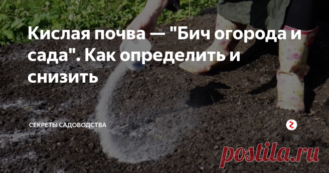 Кислая почва — 