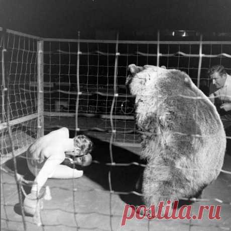 Реальный бой профессионала по боксу и ка победил / История цивилизаций!