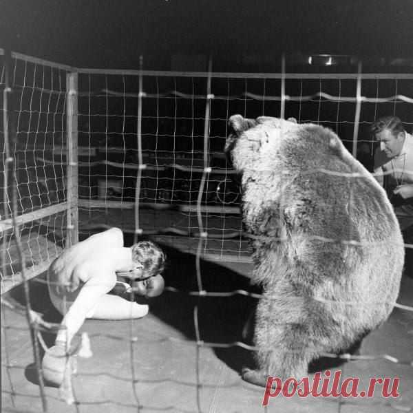 Реальный бой профессионала по боксу и ка победил / История цивилизаций!