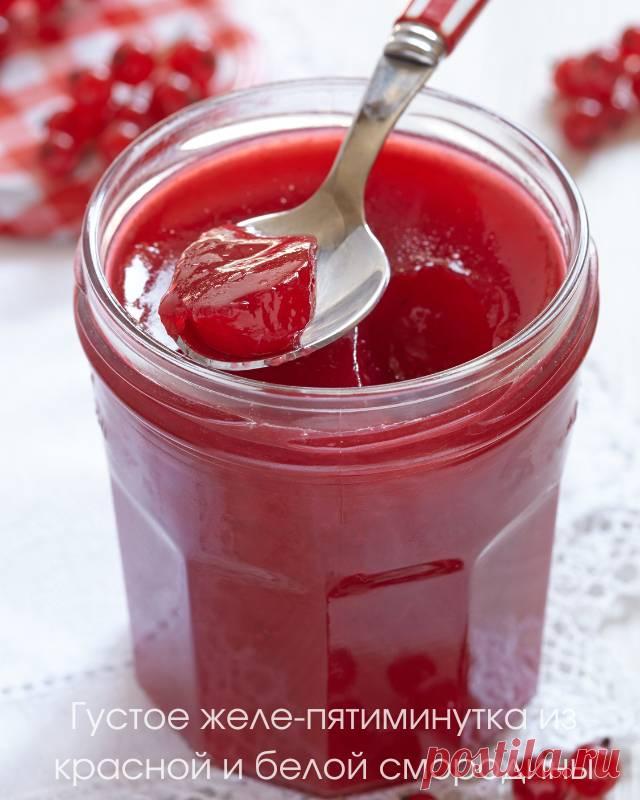 Густое желе-пятиминутка из красной и белой смородины — Домашние заботы