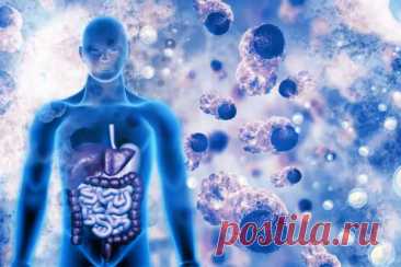 Эндотоксины: когда организм отравляет сам себя и что с этим делать - ПолонСил.ру - социальная сеть здоровья - 22 мая - Медиаплатформа МирТесен