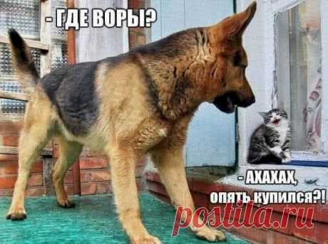 670857d2.jpg (604×451)