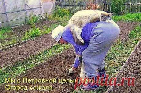 Интересные новости