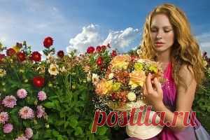 Признание на языке цветов | Вместе рядом