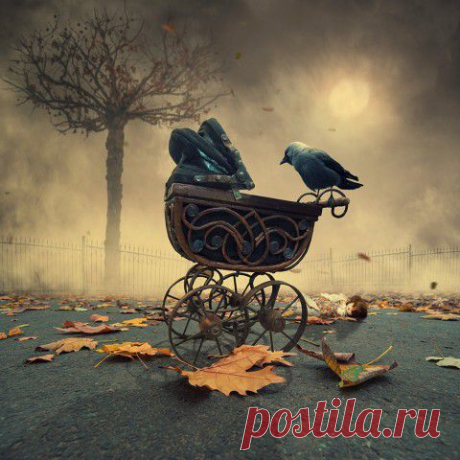 Баллада о Птицелове | 5минутка