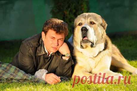 Матета