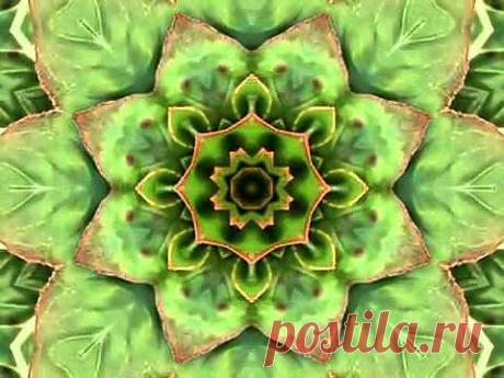 Успокоение нервов - YouTube