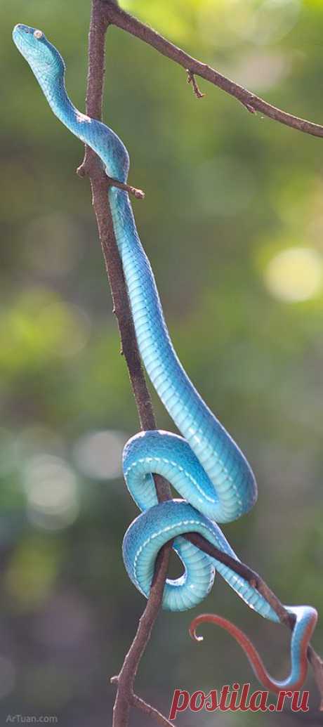 500px / Death by cyan by Le Anh Tuan
