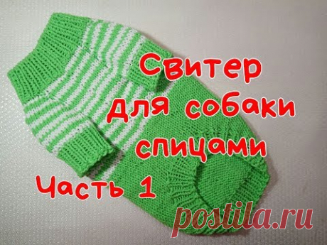 Свитер для собаки спицами, часть 1