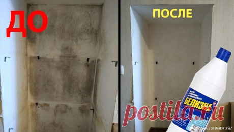 ИНТЕРЕСНЫЙ БЛОГ Лесяка.Ру