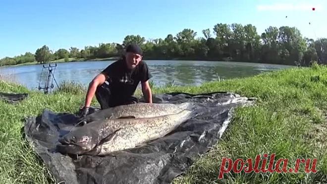 КАК ПОЙМАТЬ СОМА на донку с подводным поплавком на живца. Рыбалка на сома весной_Trim