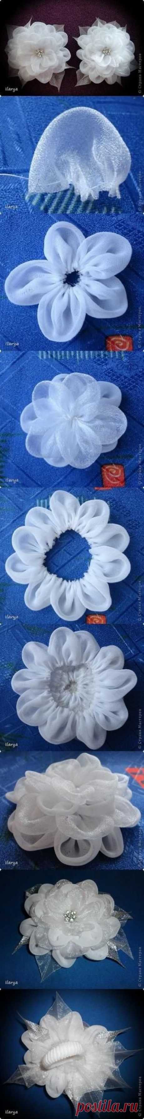 Pinterest