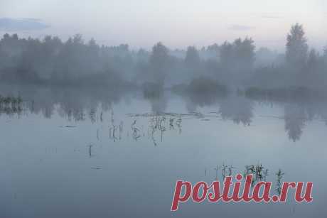 Яндекс.Фотки