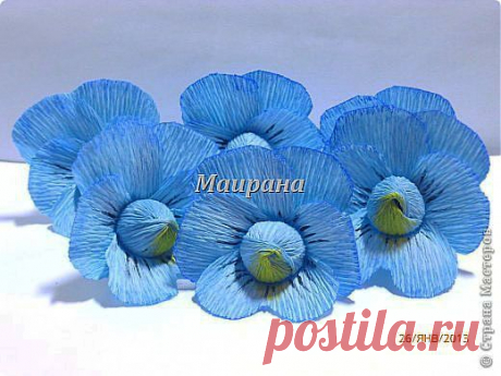 Анютины глазки из конфет и гофрированной бумаги.