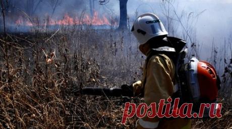 Власти Ставрополья поручили обеспечить защиту полей от пожаров. Губернатор Ставропольского края Владимир Владимиров поручил обеспечить защиту полей от пожаров во время уборочной кампании. Читать далее
