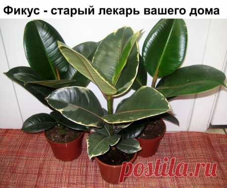 (99+) Одноклассники