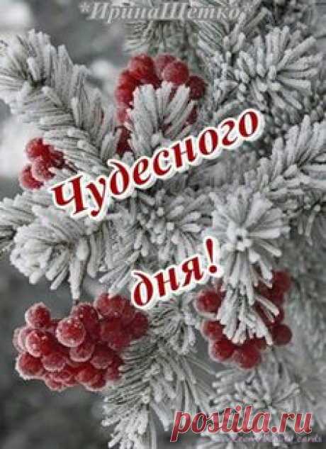 Вдохновение на весь день