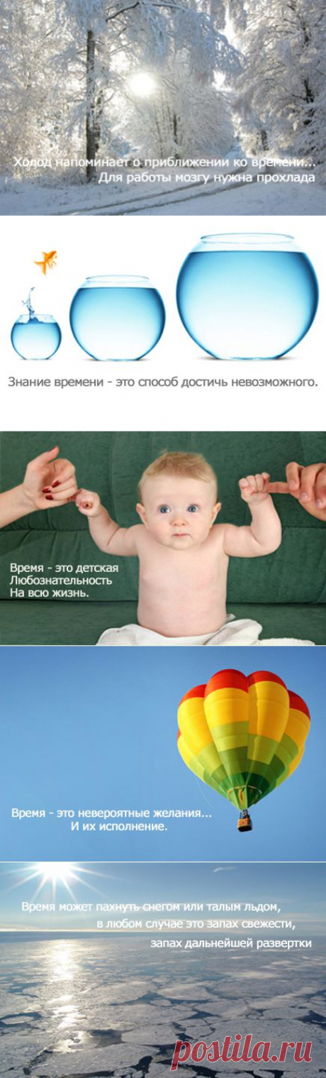 Ирлем-Практик