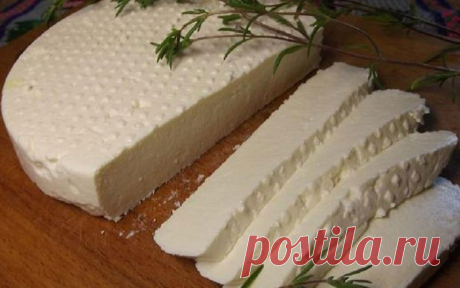 Домашний адыгейский сыр - Типичный Кулинар