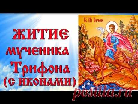 14 февраля Житие мученика Трифона (аудиокнига с иконами)