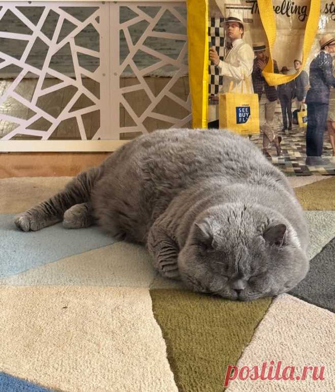 ,